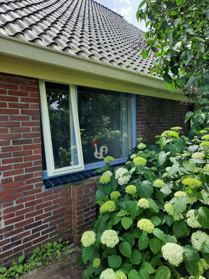 Vledderstee Apartamento Vledderveen  Exterior foto